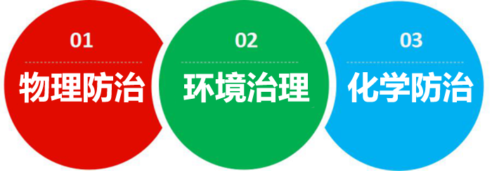 灭蚂蚁