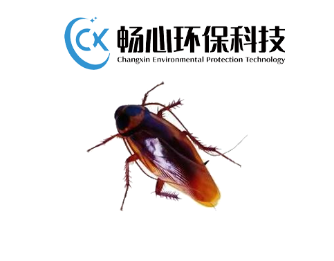 灭蟑螂