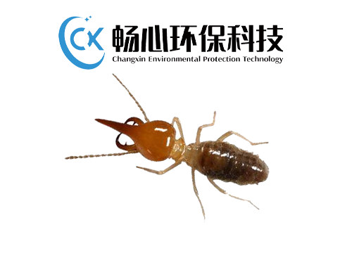 灭白蚁