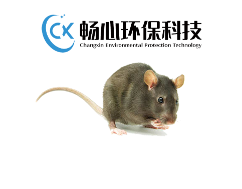 灭老鼠