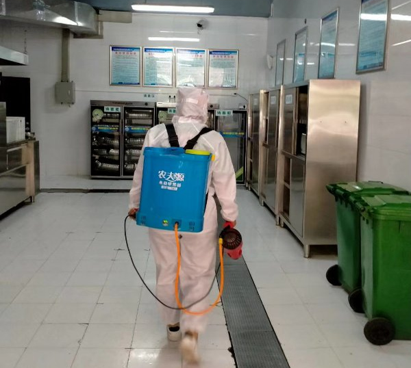 速净虫控施工现场