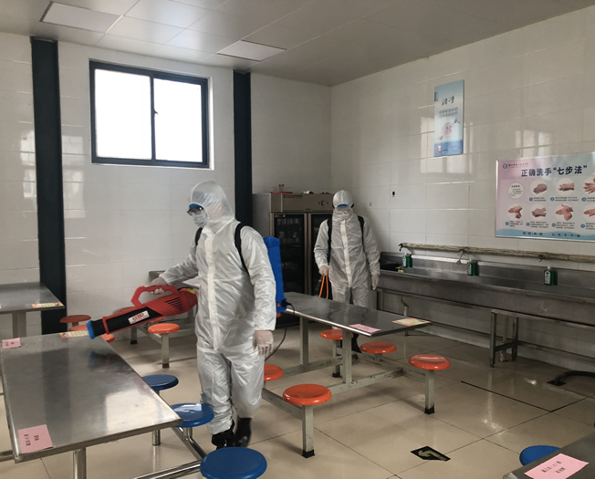 速净虫控施工现场